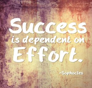 quote___success_is_dependent_on_effort_by_rabidbribri-d68mkua