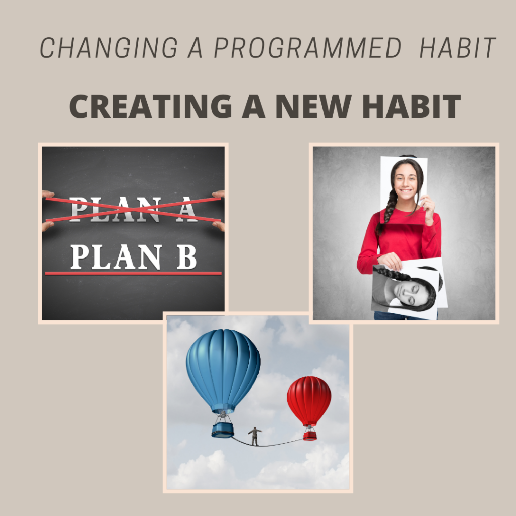 program new habit 